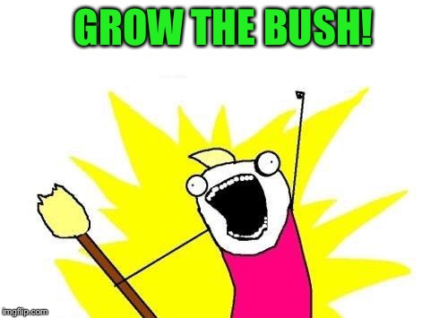 X All The Y Meme | GROW THE BUSH! | image tagged in memes,x all the y | made w/ Imgflip meme maker