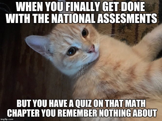 why teacher why ;-; | WHEN YOU FINALLY GET DONE WITH THE NATIONAL ASSESMENTS; BUT YOU HAVE A QUIZ ON THAT MATH CHAPTER YOU REMEMBER NOTHING ABOUT | image tagged in bruh,lolcat | made w/ Imgflip meme maker
