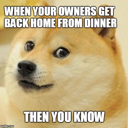 Doge Meme | WHEN YOUR OWNERS GET BACK HOME FROM DINNER; THEN YOU KNOW | image tagged in memes,doge | made w/ Imgflip meme maker