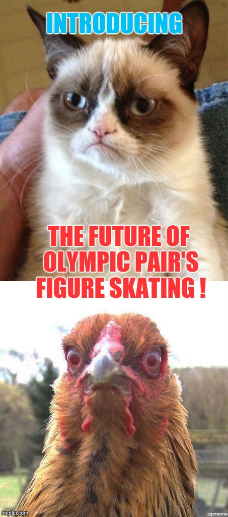 Judges are scared to vote against them ! | INTRODUCING; THE FUTURE OF OLYMPIC PAIR'S FIGURE SKATING ! | image tagged in memes,olympics | made w/ Imgflip meme maker