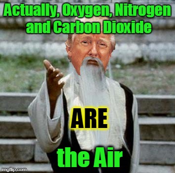 Trumpai Mei | Actually, Oxygen, Nitrogen and Carbon Dioxide the Air ARE | image tagged in trumpai mei | made w/ Imgflip meme maker