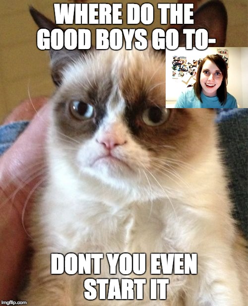 Grumpy Cat | WHERE DO THE GOOD BOYS GO TO-; DONT YOU EVEN START IT | image tagged in memes,grumpy cat | made w/ Imgflip meme maker