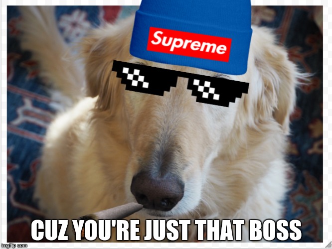 Da Boss | CUZ YOU'RE JUST THAT BOSS | image tagged in boss,supreme,doge,meme,mlg | made w/ Imgflip meme maker
