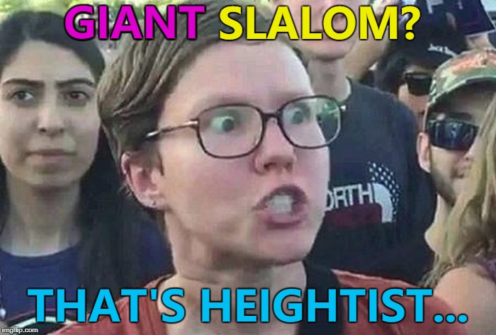 All heights of slalom should be equal... :) | GIANT; GIANT SLALOM? THAT'S HEIGHTIST... | image tagged in triggered liberal,memes,winter olympics,sport,skiing | made w/ Imgflip meme maker