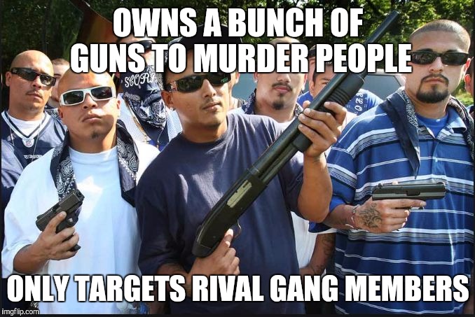 gangs | OWNS A BUNCH OF GUNS TO MURDER PEOPLE; ONLY TARGETS RIVAL GANG MEMBERS | image tagged in gangs | made w/ Imgflip meme maker
