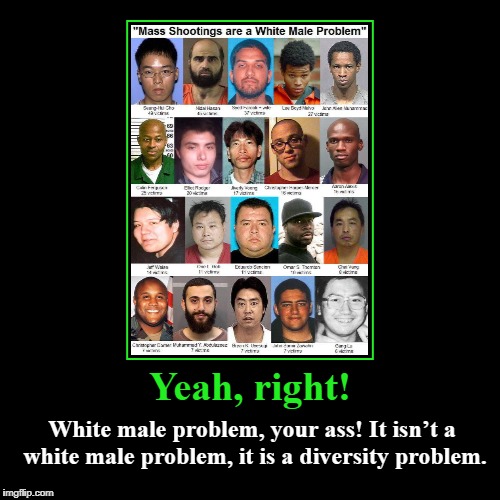 Mass Shooters: A Diversity Problem | image tagged in mass shooters,diversity problem,outlaw socialism,outlaw democrats | made w/ Imgflip demotivational maker