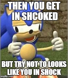 Drunk Sonic | THEN YOU GET IN SHCOKED; BUT TRY NOT TO LOOKS LIKE YOU IN SHOCK | image tagged in drunk sonic | made w/ Imgflip meme maker