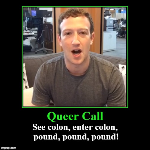 Queer Call: Zuckerberg | image tagged in center,see colon,enter colon | made w/ Imgflip demotivational maker