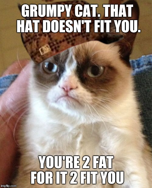 Grumpy Cat Meme | GRUMPY CAT. THAT HAT DOESN'T FIT YOU. YOU'RE 2 FAT FOR IT 2 FIT YOU | image tagged in memes,grumpy cat,scumbag | made w/ Imgflip meme maker