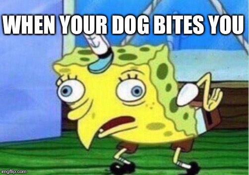 Mocking Spongebob Meme | WHEN YOUR DOG BITES YOU | image tagged in memes,mocking spongebob | made w/ Imgflip meme maker