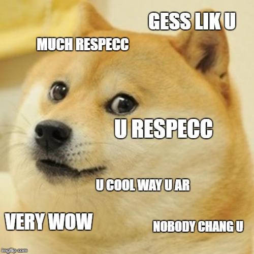 Doge | GESS LIK U; MUCH RESPECC; U RESPECC; U COOL WAY U AR; VERY WOW; NOBODY CHANG U | image tagged in memes,doge | made w/ Imgflip meme maker