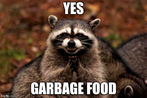 Evil Plotting Raccoon Meme | YES; GARBAGE FOOD | image tagged in memes,evil plotting raccoon | made w/ Imgflip meme maker