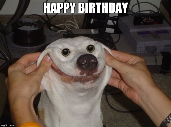 Forced To Smile Dog | HAPPY BIRTHDAY | image tagged in forced to smile dog,scumbag | made w/ Imgflip meme maker