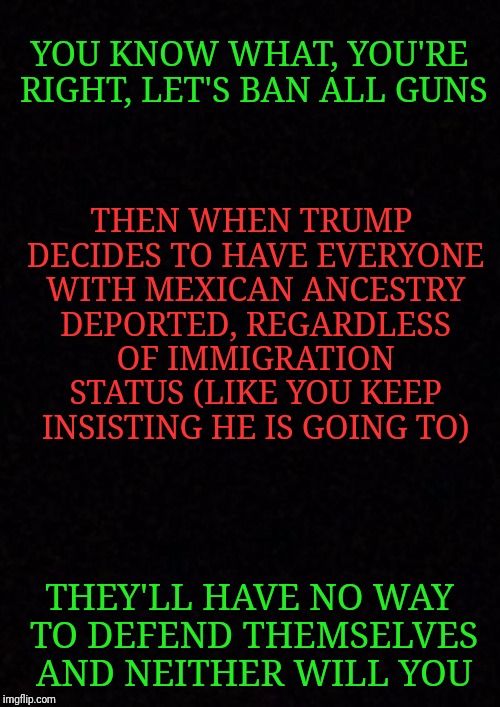 Blank  | YOU KNOW WHAT, YOU'RE RIGHT, LET'S BAN ALL GUNS; THEN WHEN TRUMP DECIDES TO HAVE EVERYONE WITH MEXICAN ANCESTRY DEPORTED, REGARDLESS OF IMMIGRATION STATUS (LIKE YOU KEEP INSISTING HE IS GOING TO); THEY'LL HAVE NO WAY TO DEFEND THEMSELVES AND NEITHER WILL YOU | image tagged in blank | made w/ Imgflip meme maker