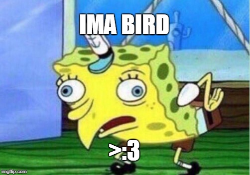 Mocking Spongebob | IMA BIRD; >:3 | image tagged in memes,mocking spongebob | made w/ Imgflip meme maker