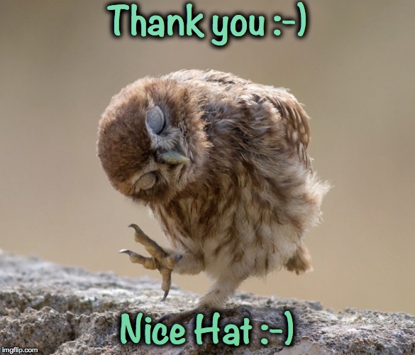 Thank you :-) Nice Hat :-) | made w/ Imgflip meme maker