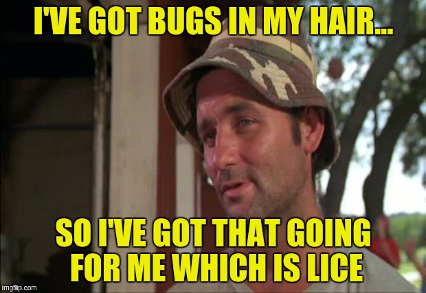 So I Got That Goin For Me Which Is Nice 2 | I'VE GOT BUGS IN MY HAIR... SO I'VE GOT THAT GOING FOR ME WHICH IS LICE | image tagged in memes,so i got that goin for me which is nice 2 | made w/ Imgflip meme maker