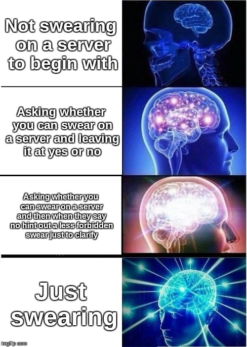 Expanding Brain Meme | Not swearing on a server to begin with; Asking whether you can swear on a server and leaving it at yes or no; Asking whether you can swear on a server and then when they say no hint out a less forbidden swear just to clarify; Just swearing | image tagged in memes,expanding brain | made w/ Imgflip meme maker