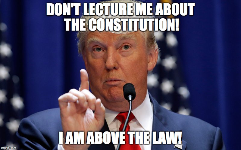 Donald Trump | DON'T LECTURE ME ABOUT THE CONSTITUTION! I AM ABOVE THE LAW! | image tagged in donald trump | made w/ Imgflip meme maker