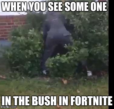 fortnit bush | WHEN YOU SEE SOME ONE; IN THE BUSH IN FORTNITE | image tagged in fortnit bush | made w/ Imgflip meme maker