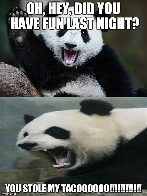 The drama of a Panda's life | OH, HEY, DID YOU HAVE FUN LAST NIGHT? YOU STOLE MY TACOOOOOO!!!!!!!!!!!! | image tagged in funny memes | made w/ Imgflip meme maker