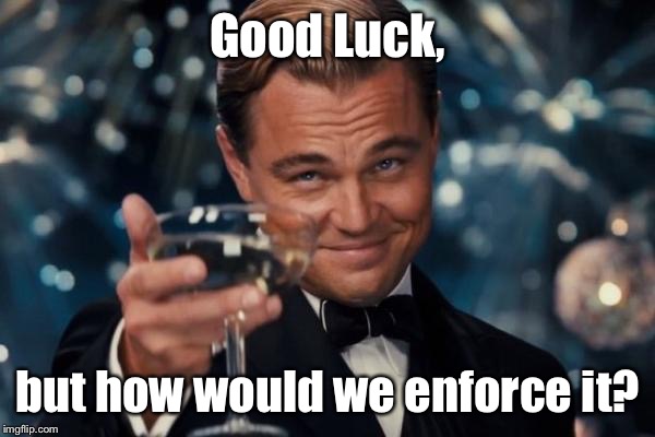 Leonardo Dicaprio Cheers Meme | Good Luck, but how would we enforce it? | image tagged in memes,leonardo dicaprio cheers | made w/ Imgflip meme maker