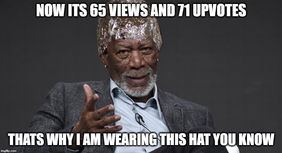 Right Tin Foil | NOW ITS 65 VIEWS AND 71 UPVOTES THATS WHY I AM WEARING THIS HAT YOU KNOW | image tagged in right tin foil | made w/ Imgflip meme maker