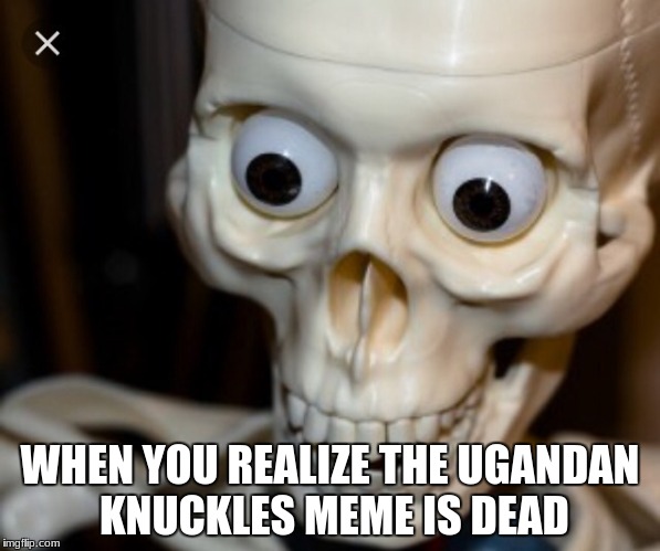 it's dead! | WHEN YOU REALIZE THE UGANDAN KNUCKLES MEME IS DEAD | image tagged in dead meme | made w/ Imgflip meme maker