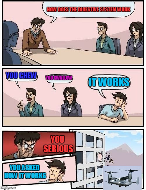 Boardroom Meeting Suggestion Meme | HOW DOES THE DIGESTIVE SYSTEM WORK; YOU CHEW; YOU SWALLOW; IT WORKS; YOU SERIOUS; YOU ASKED HOW IT WORKS | image tagged in memes,boardroom meeting suggestion | made w/ Imgflip meme maker