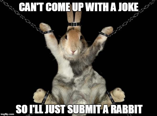 Rabbit | CAN'T COME UP WITH A JOKE; SO I'LL JUST SUBMIT A RABBIT | image tagged in submission,dirty joke | made w/ Imgflip meme maker