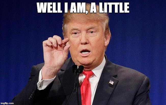 Little trump | WELL I AM, A LITTLE | image tagged in little trump | made w/ Imgflip meme maker