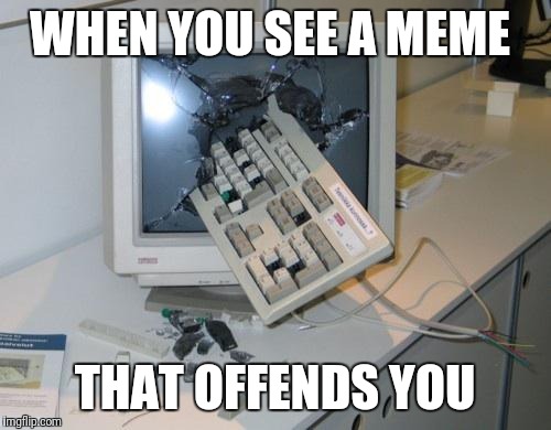 Oh........ok........ | WHEN YOU SEE A MEME; THAT OFFENDS YOU | image tagged in fnaf rage,memes,funny,get a new computer,and a new keboard,but not a new mouse | made w/ Imgflip meme maker