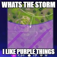 Fortnoot | WHATS THE STORM; I LIKE PURPLE THINGS | image tagged in fortnite,storm,purple,death,video games | made w/ Imgflip meme maker