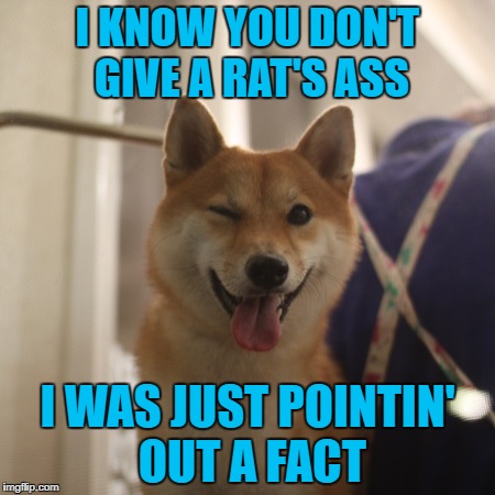 I KNOW YOU DON'T GIVE A RAT'S ASS I WAS JUST POINTIN' OUT A FACT | made w/ Imgflip meme maker