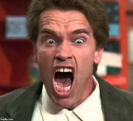 Arnold yelling | image tagged in arnold yelling | made w/ Imgflip meme maker