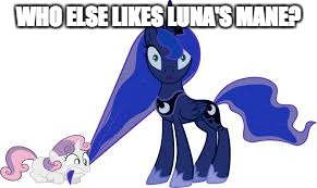 I really like her mane! | WHO ELSE LIKES LUNA'S MANE? | image tagged in sweetie belle chewing on luna's mane,memes,my little pony,princess luna,sweetie belle | made w/ Imgflip meme maker