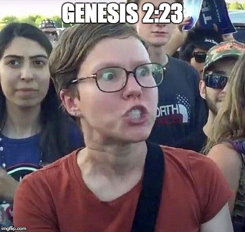 foggy | GENESIS 2:23 | image tagged in triggered feminist | made w/ Imgflip meme maker