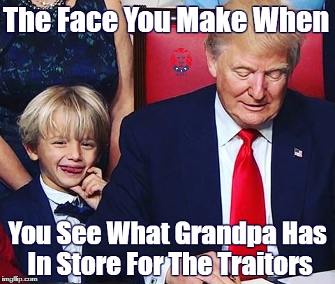 Trump brings a smile | The Face You Make When; You See What Grandpa Has In Store For The Traitors | image tagged in donald trump,traitors,hillary clinton,barack obama,maga,happy | made w/ Imgflip meme maker