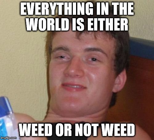 10 Guy Meme | EVERYTHING IN THE WORLD IS EITHER; WEED OR NOT WEED | image tagged in memes,10 guy | made w/ Imgflip meme maker