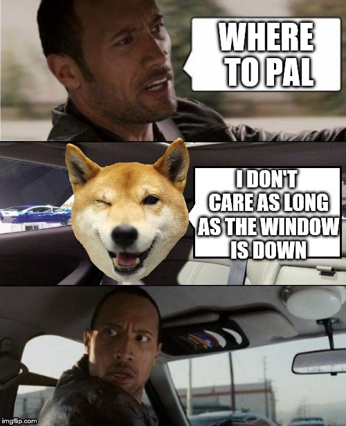 The Rock Driving Blank 2 | WHERE TO PAL; I DON'T CARE AS LONG AS THE WINDOW IS DOWN | image tagged in the rock driving blank 2,memes,dogs | made w/ Imgflip meme maker