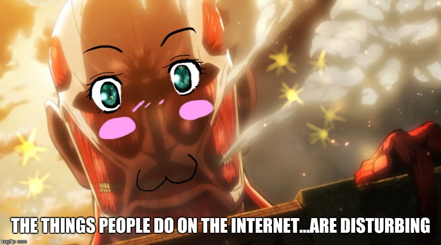 my god. why? people, why? | THE THINGS PEOPLE DO ON THE INTERNET...ARE DISTURBING | image tagged in attack on titan | made w/ Imgflip meme maker