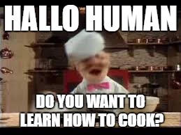 HALLO HUMAN DO YOU WANT TO LEARN HOW TO COOK? | image tagged in swedish chef | made w/ Imgflip meme maker