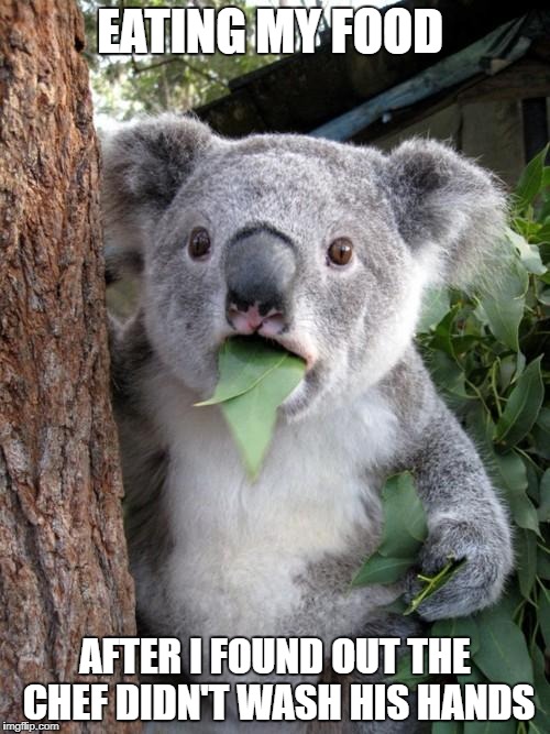 Surprised Koala Meme | EATING MY FOOD; AFTER I FOUND OUT THE CHEF DIDN'T WASH HIS HANDS | image tagged in memes,surprised koala | made w/ Imgflip meme maker