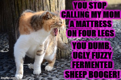 YOU STOP CALLING MY MOM A MATTRESS ON FOUR LEGS; YOU DUMB, UGLY FUZZY FERMENTED SHEEP BOOGER! | image tagged in sheep booger | made w/ Imgflip meme maker