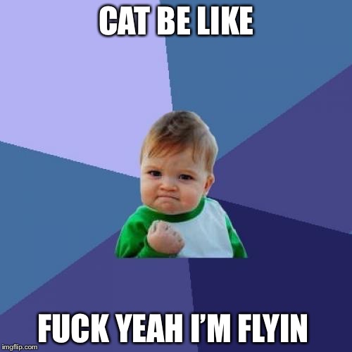 Success Kid Meme | CAT BE LIKE F**K YEAH I’M FLYIN | image tagged in memes,success kid | made w/ Imgflip meme maker