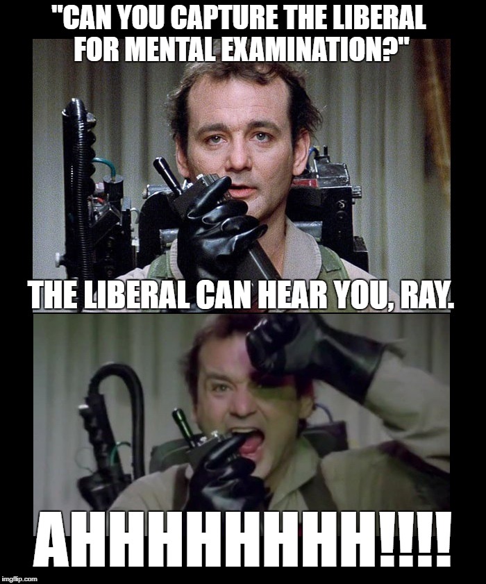 Bill Murray Ghostbusters - The LIberal Can Hear You Ray | "CAN YOU CAPTURE THE LIBERAL FOR MENTAL EXAMINATION?"; THE LIBERAL CAN HEAR YOU, RAY. AHHHHHHHH!!!! | image tagged in bill murray,ghostbusters | made w/ Imgflip meme maker