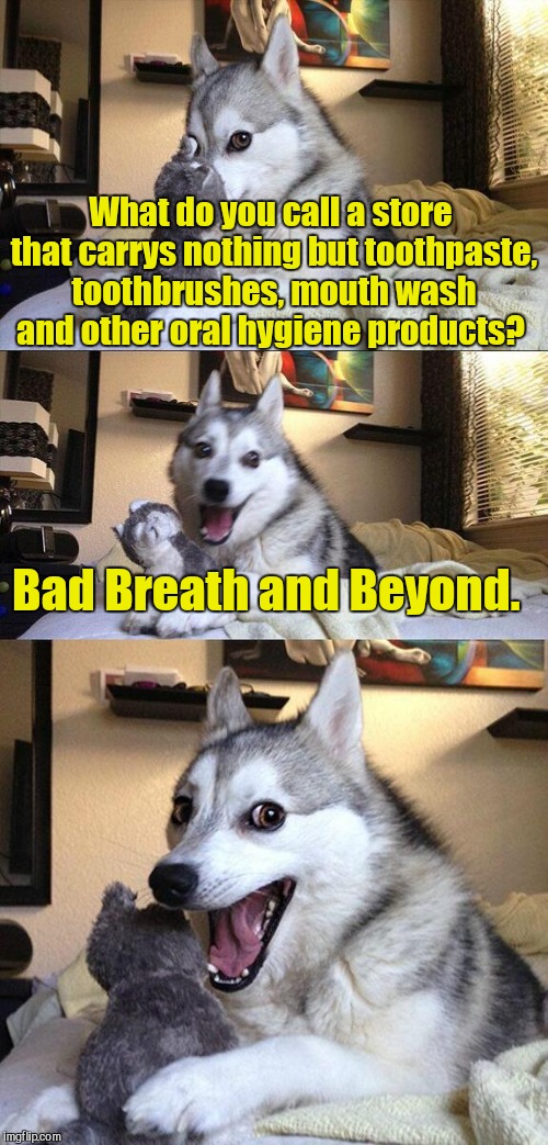 I used this as a comment some time ago. Socrates suggested that I submit it.  | What do you call a store that carrys nothing but toothpaste, toothbrushes, mouth wash and other oral hygiene products? Bad Breath and Beyond. | image tagged in memes,bad pun dog | made w/ Imgflip meme maker