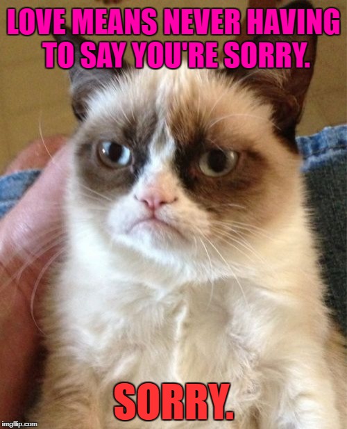 Just Watched Love Story with Ryan O'Neal and Ali MacGraw  | LOVE MEANS NEVER HAVING TO SAY YOU'RE SORRY. SORRY. | image tagged in memes,grumpy cat,movies,funny,relationships,first world problems | made w/ Imgflip meme maker