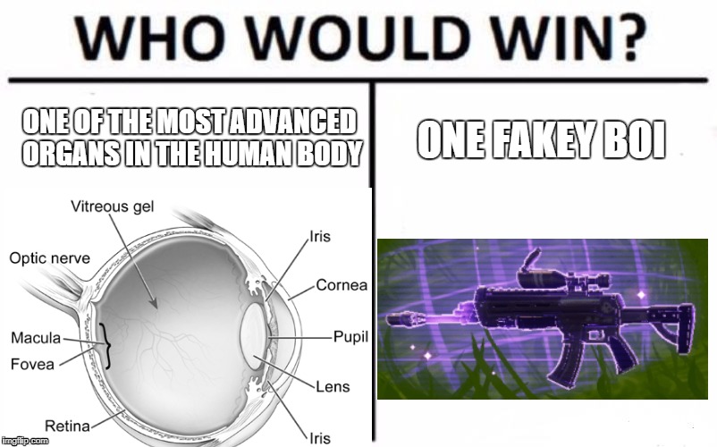 Fortnite amirite? | ONE OF THE MOST ADVANCED ORGANS IN THE HUMAN BODY; ONE FAKEY BOI | image tagged in fortnite,memes,new feature,who would win | made w/ Imgflip meme maker
