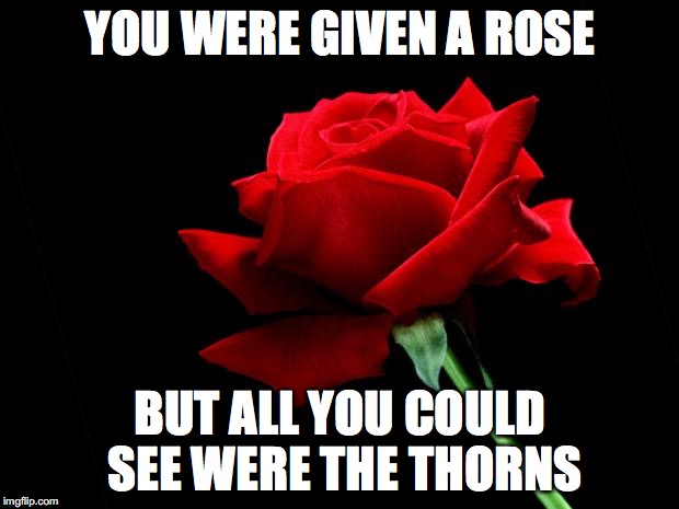 rose | YOU WERE GIVEN A ROSE; BUT ALL YOU COULD SEE WERE THE THORNS | image tagged in rose | made w/ Imgflip meme maker